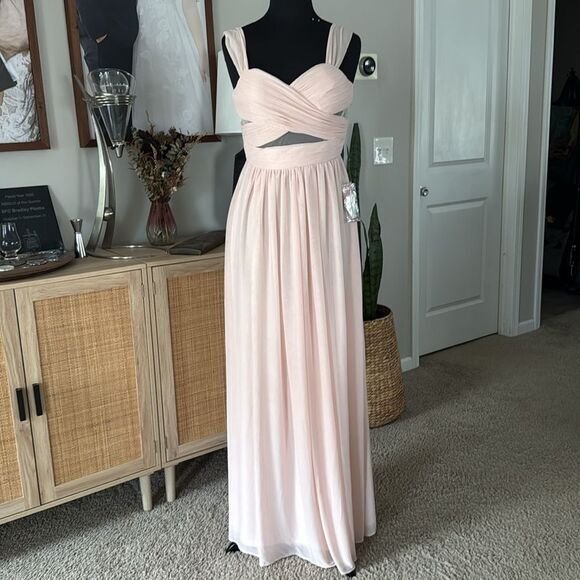 Birdy Grey Dusty Rose Pink Chiffon Full Length Mesh Cutout Elyse Dress - Picture 5 of 8